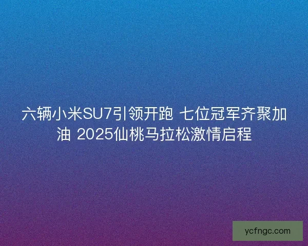 六辆小米SU7引领开跑 七位冠军齐聚加油 2025仙桃马拉松激情启程