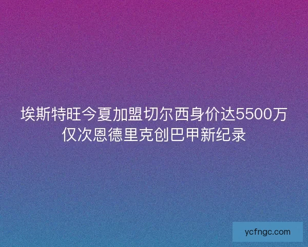埃斯特旺今夏加盟切尔西身价达5500万仅次恩德里克创巴甲新纪录