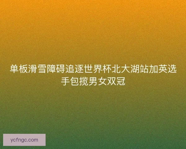 单板滑雪障碍追逐世界杯北大湖站加英选手包揽男女双冠