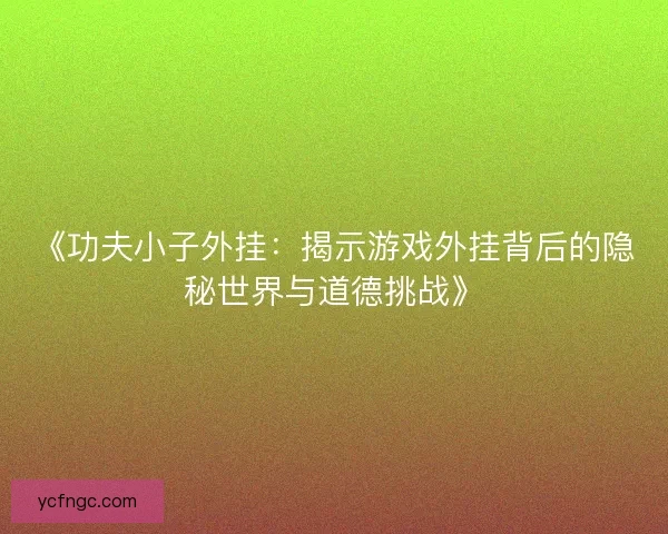 《功夫小子外挂：揭示游戏外挂背后的隐秘世界与道德挑战》