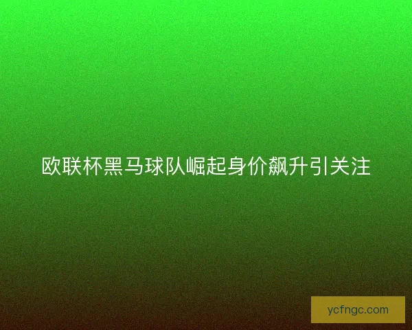 欧联杯黑马球队崛起身价飙升引关注